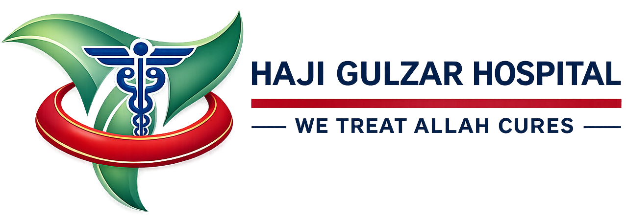 hajigulzarsurgicalhospital.com